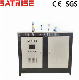 Satrise Steam Generator Mushroom Heating Equipment