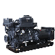 Powerful Water Cooling Electronic 160kw Diesel Generator 200kVA Diesel Generators manufacturer