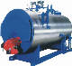 Diesel Oil heating industrial steam generator