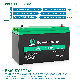 Deep Cycle Energy Storage Battery 12V 100ah LiFePO4 Battery with Built-in BMS