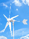  600W 1kw 2kw 3kw Windmill Generator System