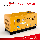  24kw 30kVA Ricardo Super Silent Diesel Power Generators (15kVA 20kVA 25kVA 30kVA 50kVA 60kVA 80kVA 100kVA 150kVA 200kVA 250kVA 300kVA 500kVA 800kVA 1000kVA)