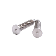  Made in China Special Drywall Screw Stainless Steel Screws for Auto Parts