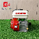  Gx200 Gasoline Engine for Grinding Machine with Pulley Honda Type Hot Selling