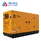 80kw 100kVA Natural Gas CNG LPG Generator Water-Cooled Super Silent Home Professional Supplier