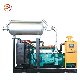 10kw 50kw 100kw 200kw 300kw 400kw 500kw Gas Generator Set Open Type Silent Type CNG/LPG/Natural Gas Power Genset Generator/Biogas Generator