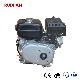 Ruixian China Most Powerful Diesel Engine Suppliers Ruixian 13HP 389cc BS390 Portable Reasonable Price Cheap 4-Stroke Gasoline Engine Gasoline Diesel Engine