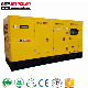  250kw 300kw 400kw 500kw Biogas Methane Natural Gas Generator Set