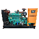  Electric Natural Gas Engine Generator Set 30kw 35kw 40kw 50kw Powered by Cummins, Weichai, Ricardo, Lovol