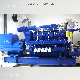 Ly1000gh-Wl Low Concentration Gas High Voltage Genset for Coal Mine