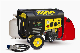 2500 Watts Electric Power Gasoline and LPG Generator with Ce