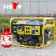 Bison 5kw 5000W 5kVA Portable LPG Biogas Electric Generator