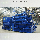  Ly1000gh-Z Biogas High Voltage Genset for Distributed Power Plant