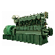  800kw/1000kVA Diesel Generator Weatherproof for Continuous Work
