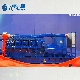 Ly1200gh-S Biomass Gas High Voltage Genset for Distributed Power Plant