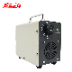 12V 220V Portable Mini USB Car Home 10g Ozone Generator Air Purifier