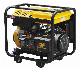  Portable Type Diesel Welding Generator (DG6000EW)