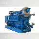 Liyu 1000kw Low Voltage 400V Sewage Biogas Landfil Gas Engine Generator Set