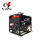  Silent Portable Diesel Generator 300 Amperes Weld Welding Machine Set Generator 5kv