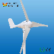  12V/24V Three Phase 400W 300W Wind Power System Wind Turbine Generator