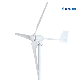 Free Energy Generator 1000W to 20kw Small Wind Generator Windmill Wind Turbine