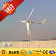  1kw Small Wind Turbine / Wind Power Generator for Home Use (1000W)