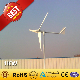 1kw Small Wind Turbine / Wind Power Generator for Home Use (1000W)