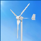  Wind Power Plant 1kw Wind Turbine/Wind Generator/Windmill for Home
