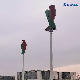  800W 24V/48V Vertical Axis Wind Energy System Wind Turbine Flower Wind Turbine