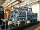 Dynamic 400kw Biomass Gas Engine Generator