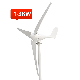 High Performance Sunway Horizontal Small Companies Industrial Technology Wind Turbine Vertical Windturbine