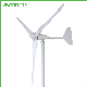  China Wind Turbines Brushless Wind Turbines Generator