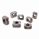  Iron Grade 4.8 Plain M5 M6 Auto Spare Parts Rectangle Square Nut