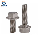 Ss304 A2-70 Stainelss Steel Hexagol Head Flange Bolts DIN6921