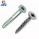 Carbon Steel and Stainless Steel Square Drive Flat Head Screw