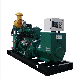 Ce Approved Easy Start Automatic 100kw Biomass Generator