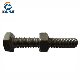 Carbon Steel and Stainless Steel Assembled Hex Bolt with Nut