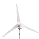  12/24V White Wind Turbine Can Breeze to Generate Electricity