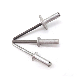 Stainless Steel 304 316 A2 A4 Multigrip Type Blind Rivets