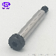 Stainless Steel Black Cl12.9 Hex Socket Cap Head Shoulder Bolt