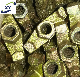 Construction Scaffolding Wing Nut Anchor Nut Tie Rod Nut Plate Nut Tie Rod Combination Nut for Formwork System