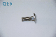 DIN603 Wzp Carbon Steel/ Stainless Steel Fastener Carriage Bolts