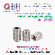 ODM OEM DIN8140 Stainless Steel Hex Socket Head Grub Round Head Screw