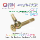 Qbh Customized Non Standard Socket Brass Furniture Confirmat Bolt Screw