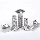  DIN 603 Fine Thread Mushroom Head Carriage Bolt A2-70 Stainless Steel Carriage Bolt