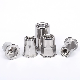  Standard All Sizes Hexagon Machine Rivet Nut Stainless Steel Flat Head Blind Rivet Nuts