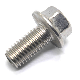  DIN6921 Ss Hex Flange Bolt with Serrated Lock