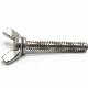 Stainless Steel 304 Thumb Wing Screw DIN316 Butterfly Bolt