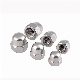  DIN1587 Hex Domed Cap Nuts 6mm 304 Stainless Steel Hex Cap Nut