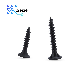  Automotive Interior Fasteners Drywall Bolt Self Black Oxide Drilling Screw